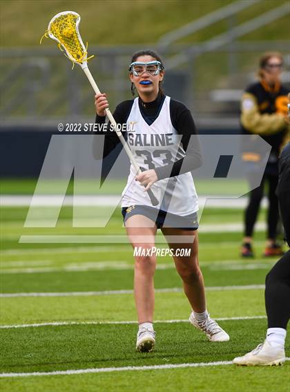 Thumbnail 2 in Novi @ Saline photogallery.