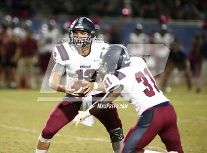 Thumbnail 1 in Perry @ Chandler photogallery.