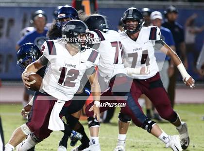 Thumbnail 3 in Perry @ Chandler photogallery.
