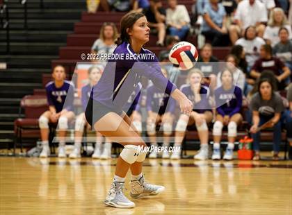 Thumbnail 3 in Anna @ Whitesboro photogallery.