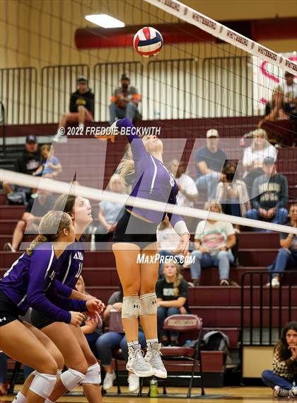 Thumbnail 1 in Anna @ Whitesboro photogallery.