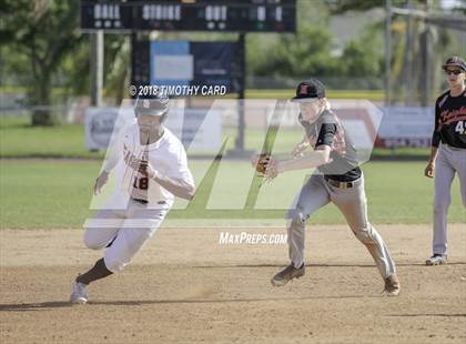 Thumbnail 2 in Monarch @ Stoneman Douglas photogallery.