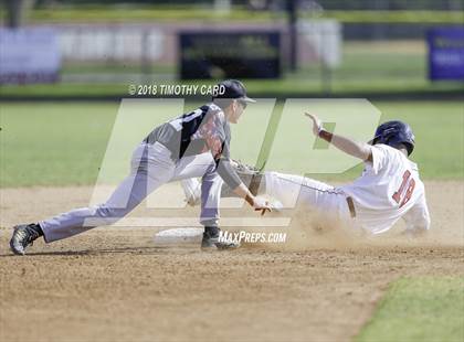 Thumbnail 2 in Monarch @ Stoneman Douglas photogallery.