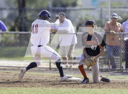 Thumbnail 1 in Monarch @ Stoneman Douglas photogallery.