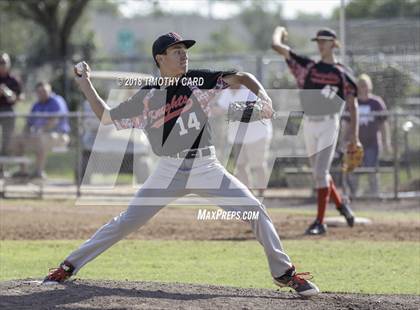 Thumbnail 1 in Monarch @ Stoneman Douglas photogallery.