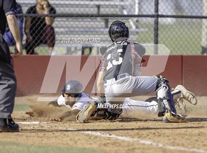 Thumbnail 3 in Monarch @ Stoneman Douglas photogallery.