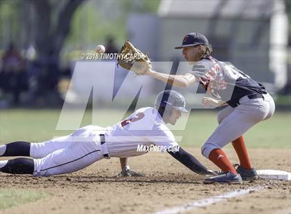 Thumbnail 3 in Monarch @ Stoneman Douglas photogallery.
