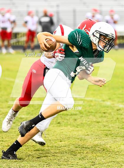 Thumbnail 3 in Ponder @ Santo photogallery.