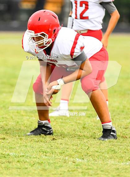 Thumbnail 3 in Ponder @ Santo photogallery.