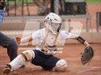 Photo from the gallery "Basha @ Desert Vista"