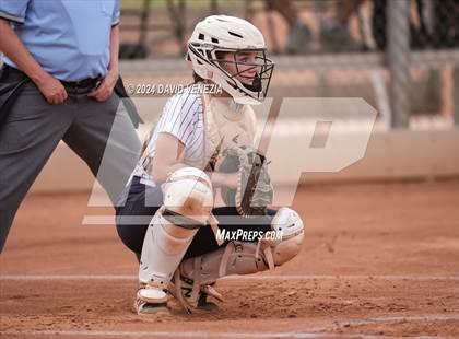 Thumbnail 1 in Basha @ Desert Vista photogallery.