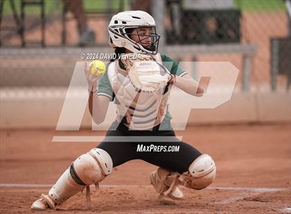 Thumbnail 3 in Basha @ Desert Vista photogallery.