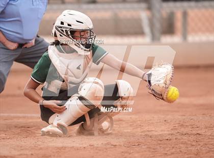 Thumbnail 1 in Basha @ Desert Vista photogallery.