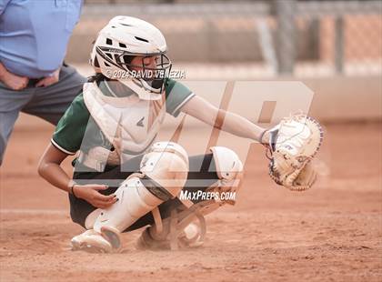 Thumbnail 2 in Basha @ Desert Vista photogallery.