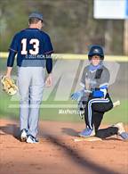 Photo from the gallery "Anson @ Albemarle"