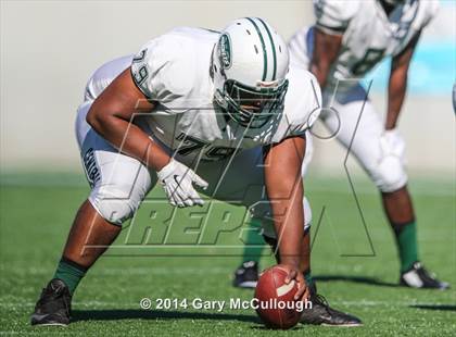 Thumbnail 1 in Armwood vs. Central (FHSAA 6A Final) photogallery.