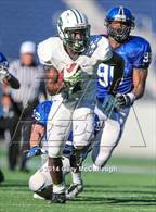 Photo from the gallery "Armwood vs. Central (FHSAA 6A Final)"