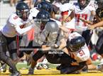 Photo from the gallery "Foothill @ Del Oro"