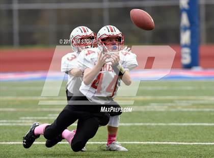 Thumbnail 3 in Somers @ Carmel photogallery.