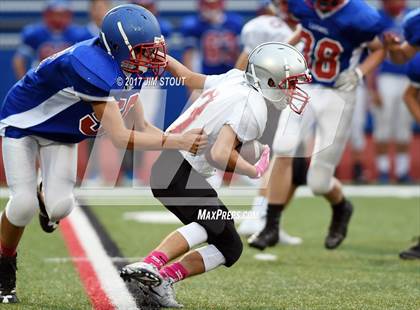 Thumbnail 1 in Somers @ Carmel photogallery.