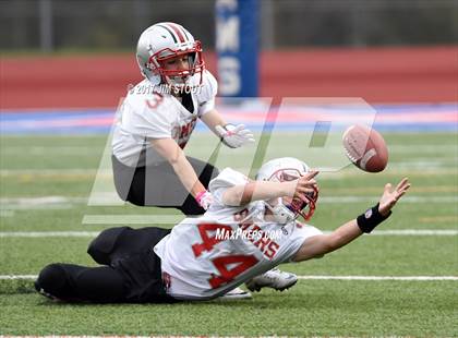 Thumbnail 2 in Somers @ Carmel photogallery.
