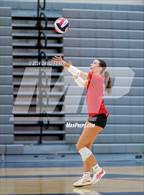 Photo from the gallery "Divine Savior Holy Angels @ Brookfield East"