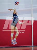Photo from the gallery "Divine Savior Holy Angels @ Brookfield East"