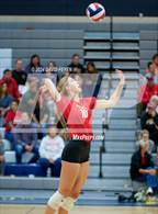 Photo from the gallery "Divine Savior Holy Angels @ Brookfield East"
