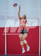 Photo from the gallery "Divine Savior Holy Angels @ Brookfield East"