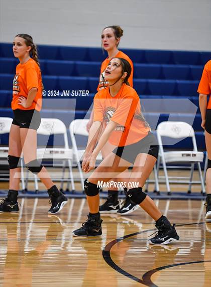 Thumbnail 2 in Schulenburg vs Holland (UIL Volleyball 2A D1 Area) photogallery.