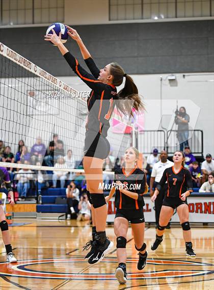 Thumbnail 1 in Schulenburg vs Holland (UIL Volleyball 2A D1 Area) photogallery.