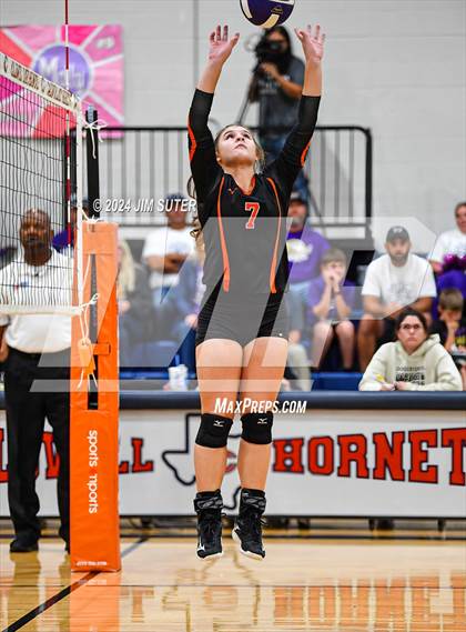 Thumbnail 1 in Schulenburg vs Holland (UIL Volleyball 2A D1 Area) photogallery.