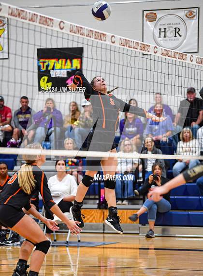 Thumbnail 2 in Schulenburg vs Holland (UIL Volleyball 2A D1 Area) photogallery.