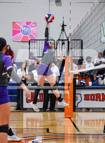 Thumbnail 1 in Schulenburg vs Holland (UIL Volleyball 2A D1 Area) photogallery.