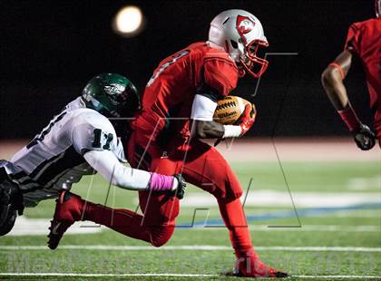 Thumbnail 2 in Suitland vs. Flowers  photogallery.