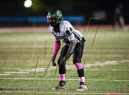 Thumbnail 1 in Suitland vs. Flowers  photogallery.
