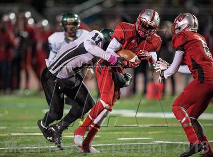 Thumbnail 3 in Suitland vs. Flowers  photogallery.
