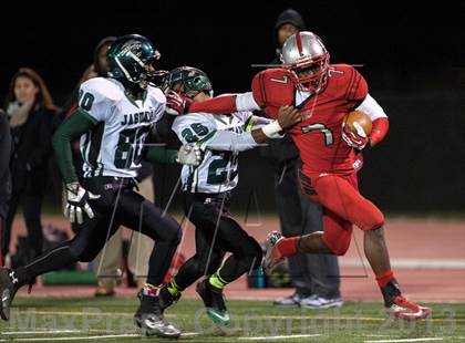 Thumbnail 1 in Suitland vs. Flowers  photogallery.