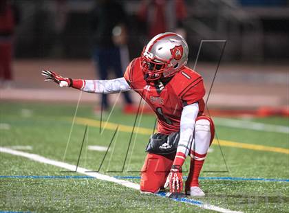 Thumbnail 3 in Suitland vs. Flowers  photogallery.
