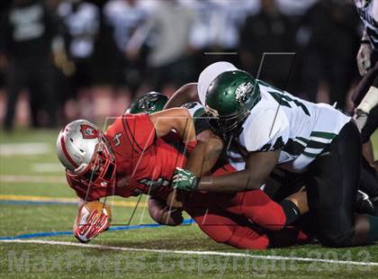 Thumbnail 1 in Suitland vs. Flowers  photogallery.