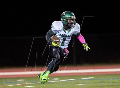 Thumbnail 3 in Suitland vs. Flowers  photogallery.