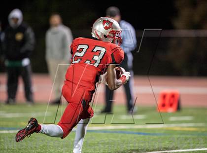 Thumbnail 2 in Suitland vs. Flowers  photogallery.