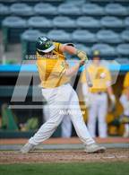 Photo from the gallery "Tyrone @ Forest Hills"