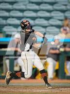 Photo from the gallery "Tyrone @ Forest Hills"
