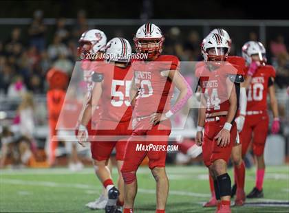 Thumbnail 2 in Lindsay @ Muenster photogallery.