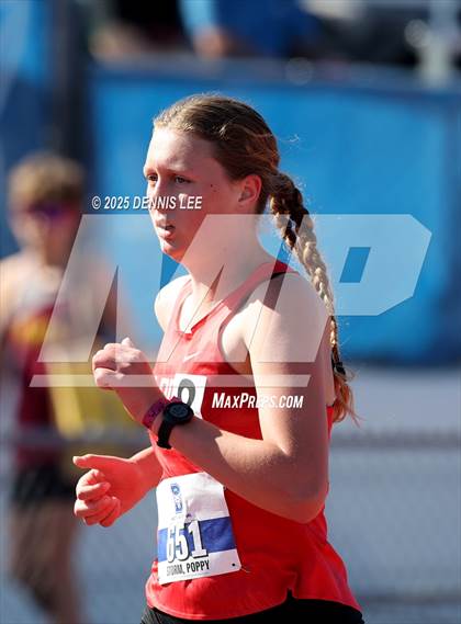 Thumbnail 1 in Halden Invitational (1600 Meter) photogallery.