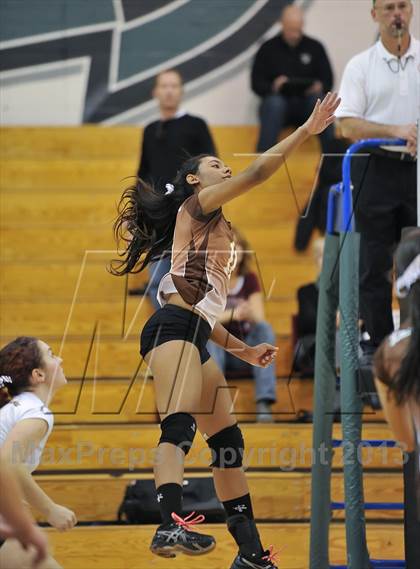 Thumbnail 3 in Chatfield vs. Palmer (CHSAA 5A Region 5) photogallery.