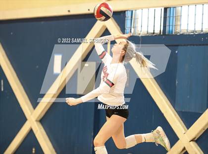 Thumbnail 1 in Albany @ Tamalpais (Tamalpais Invitational) photogallery.