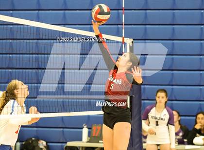 Thumbnail 3 in Albany @ Tamalpais (Tamalpais Invitational) photogallery.