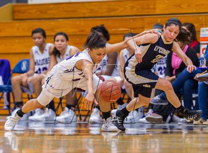 Thumbnail 2 in Warren vs O'Connor photogallery.